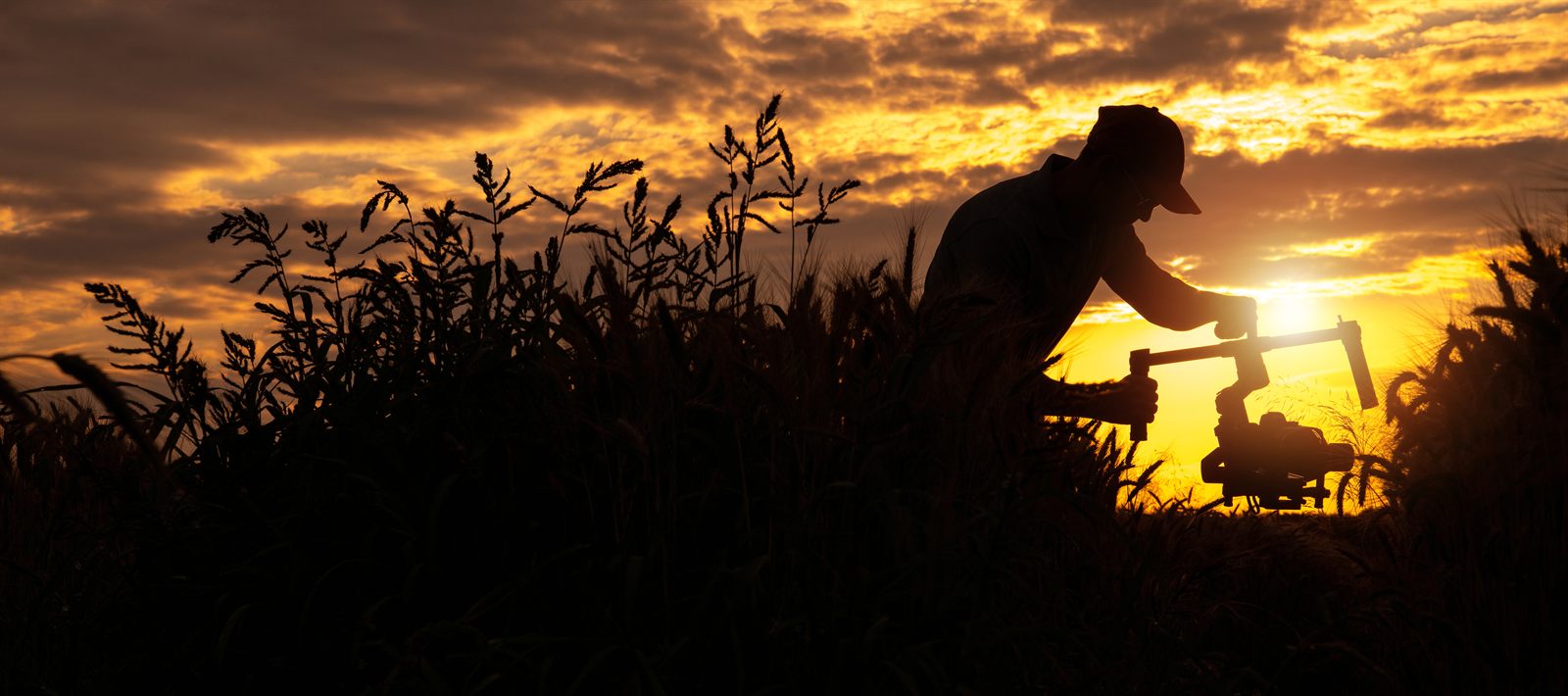 Atuação em direito agrário
